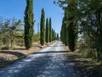 Scenic Road in Tuscany Italy during the Day