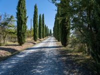 Scenic Road in Tuscany Italy during the Day