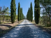 Scenic Road in Tuscany Italy during the Day