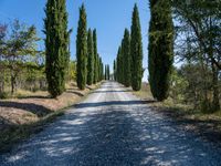 Scenic Road in Tuscany, Italy - Day 004