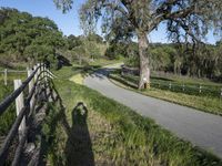 Scenic Road in California, USA