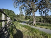 Scenic Road in California, USA