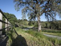 Scenic Road in California, USA