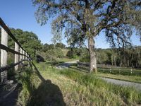 Scenic Road in California, USA