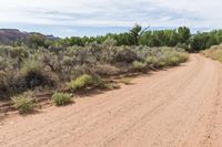 Scenic Road in Utah Canyonlands