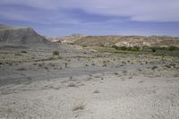 a dirt road in the desert with hills in the background, there is only one vehicle on the tracks and shrubs growing in the foreground