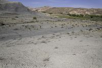 a dirt road in the desert with hills in the background, there is only one vehicle on the tracks and shrubs growing in the foreground