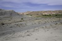 a dirt road in the desert with hills in the background, there is only one vehicle on the tracks and shrubs growing in the foreground