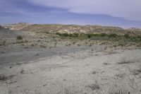 a dirt road in the desert with hills in the background, there is only one vehicle on the tracks and shrubs growing in the foreground