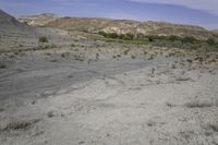 a dirt road in the desert with hills in the background, there is only one vehicle on the tracks and shrubs growing in the foreground