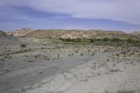 a dirt road in the desert with hills in the background, there is only one vehicle on the tracks and shrubs growing in the foreground