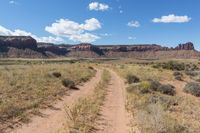 Scenic Road through Utah's Low Sand Dunes