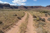 Scenic Road Through Utah's Low Sand Dunes