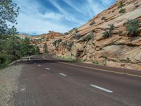 Scenic Road in Utah's Zion National Park