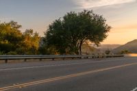 Scenic road surrounded by vegetation at dawn