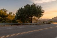 Scenic road surrounded by vegetation at dawn