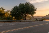 Scenic road surrounded by vegetation at dawn