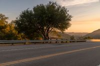 Scenic road surrounded by vegetation at dawn