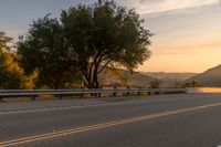 Scenic road surrounded by vegetation at dawn