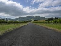 road through vineyard fields surrounded by hills in the country side on a cloudy day with blue sky above