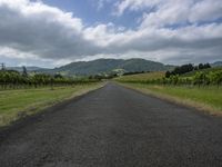 road through vineyard fields surrounded by hills in the country side on a cloudy day with blue sky above