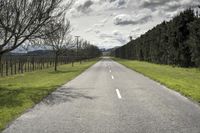 Scenic Road in Wairarapa, New Zealand