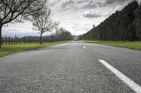 Scenic Road in Wairarapa, New Zealand