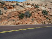 Scenic Road in Zion National Park, Utah