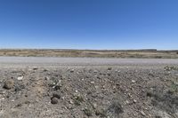 rocks and plants on the side of a road in a barren, dry area near a stop sign