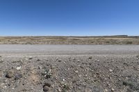 rocks and plants on the side of a road in a barren, dry area near a stop sign