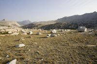 the rocky field has some rocks and grass in it on the side of mountains and trees