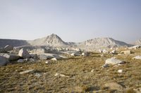 the rocky field has some rocks and grass in it on the side of mountains and trees