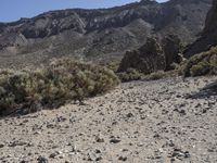 Scenic route through the Spanish desert in Tenerife, Europe