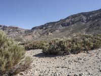 Scenic route through the Spanish desert in Tenerife, Europe