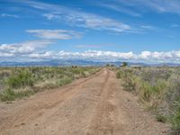 Scenic Rural Landscape in Colorado, USA