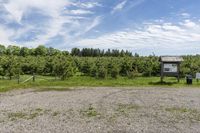 the large field is filled with stones and dirt with trees on the side and clouds in the sky