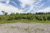 the large field is filled with stones and dirt with trees on the side and clouds in the sky