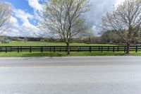 an empty lot with a black horse in the distance and trees growing next to it