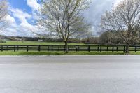 an empty lot with a black horse in the distance and trees growing next to it