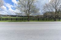 an empty lot with a black horse in the distance and trees growing next to it