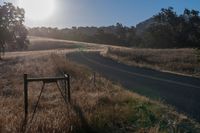 Scenic Rural Landscape with Vegetation and Clear Sky