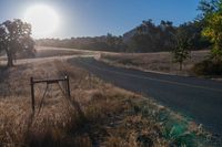 Scenic Rural Landscape with Vegetation and Clear Sky