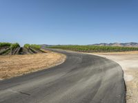 Scenic Rural Road in California: Asphalt Nature