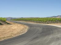 Scenic Rural Road in California: Asphalt and Nature (002)