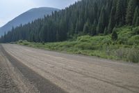 a dirt road next to green trees in the mountains along the edge of a forested area