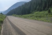 a dirt road next to green trees in the mountains along the edge of a forested area