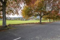 a bench on the side of a paved road surrounded by trees with fall leaves around