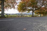 a bench on the side of a paved road surrounded by trees with fall leaves around