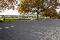 a bench on the side of a paved road surrounded by trees with fall leaves around