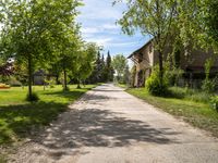 an old road runs through a small village with buildings and trees in the background, while some shrubs are growing